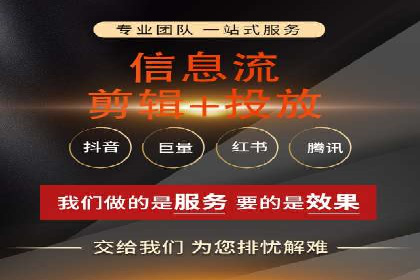 抖音广告案例：信息流广告的转化之道